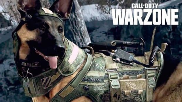 Call of Duty Warzone chien Infinity Ward