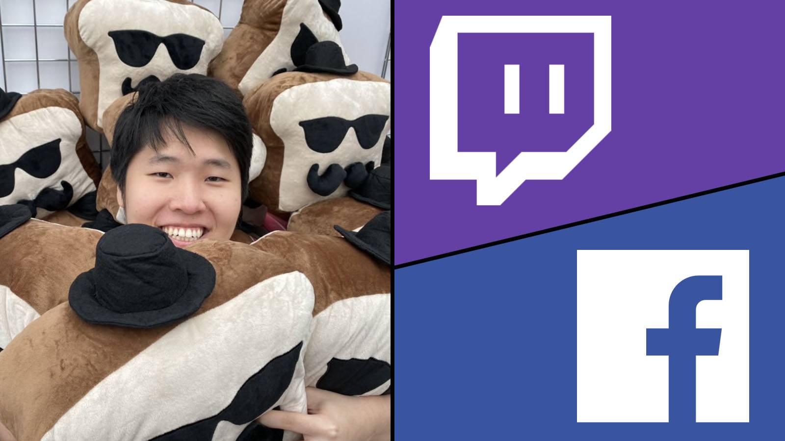 Disguised Toast - Twitch - Facebook