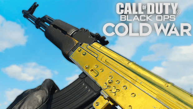 Black Ops Cold War AK-47 camouflage or Treyarch