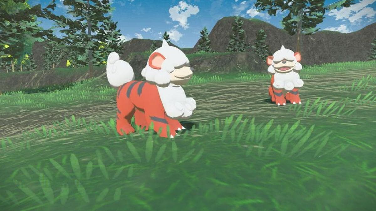 Caninos de Hisui Pokémon légendes arceus