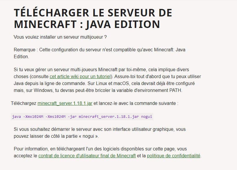 Serveur Minecraft Java