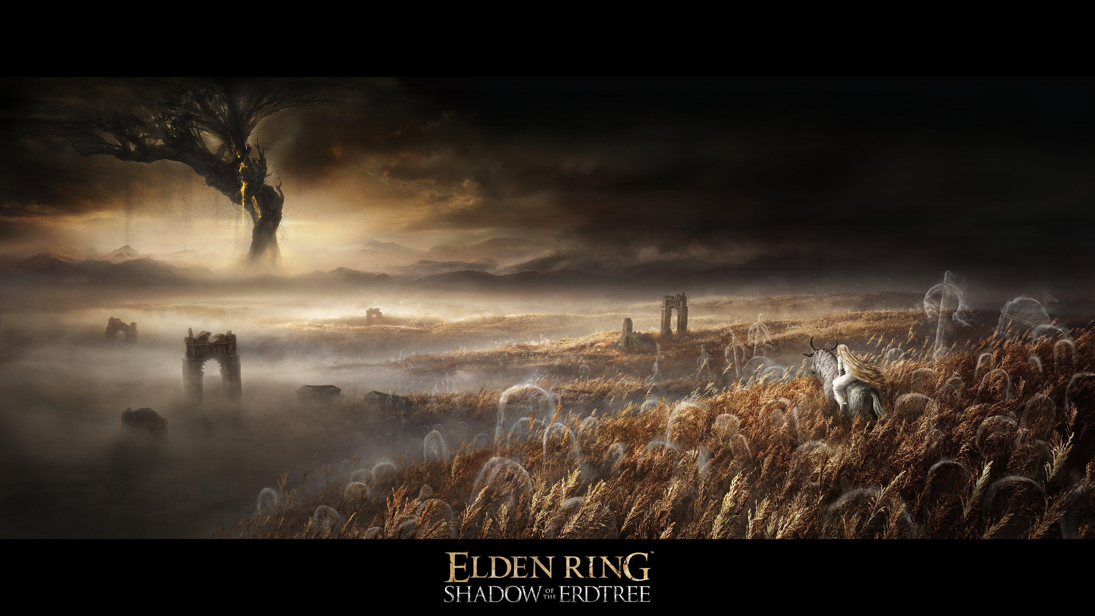Le DLC d'Elden Ring