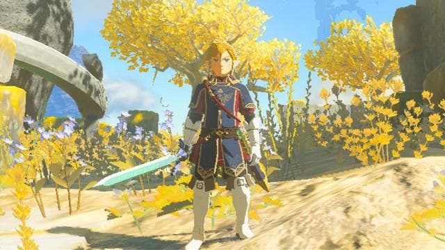 Master Sword dans Zelda: Tears of the Kingdom