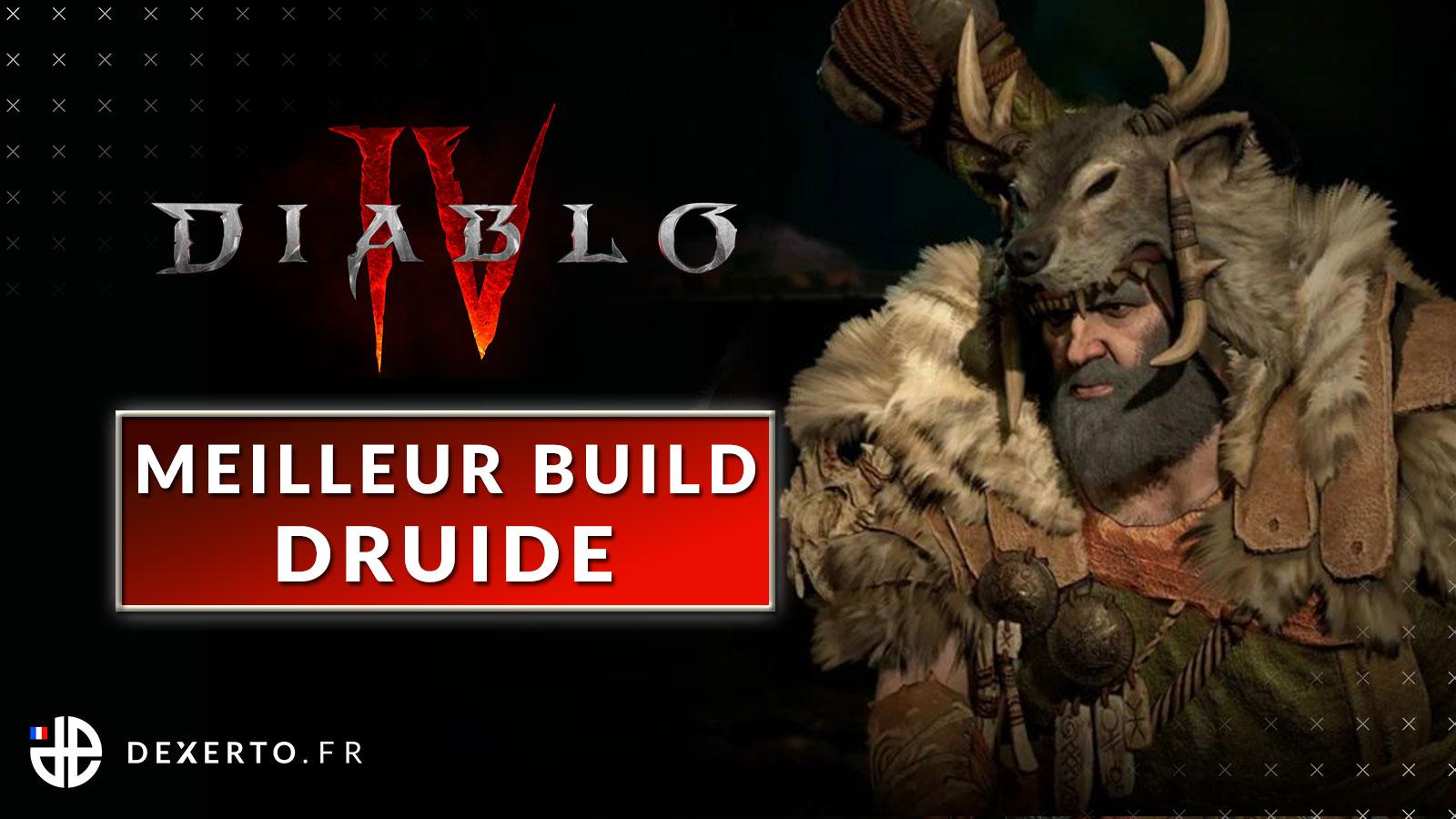 Les meilleurs builds du Druide sur Diablo 4