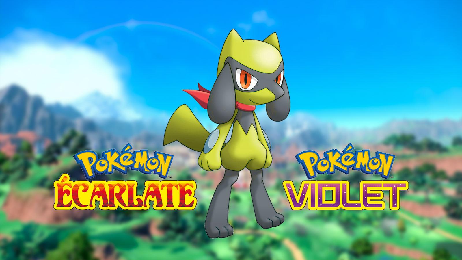 Riolu shiny sur Pokémon Écarlate & Violet