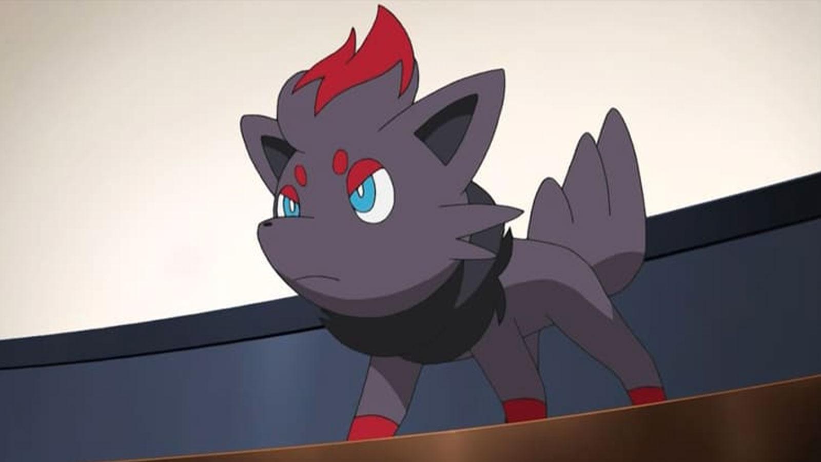 Zorua dans la série Pokémon