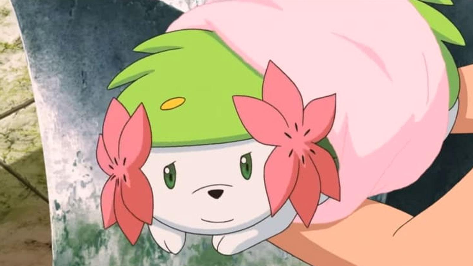 Shaymin dans la série Pokémon