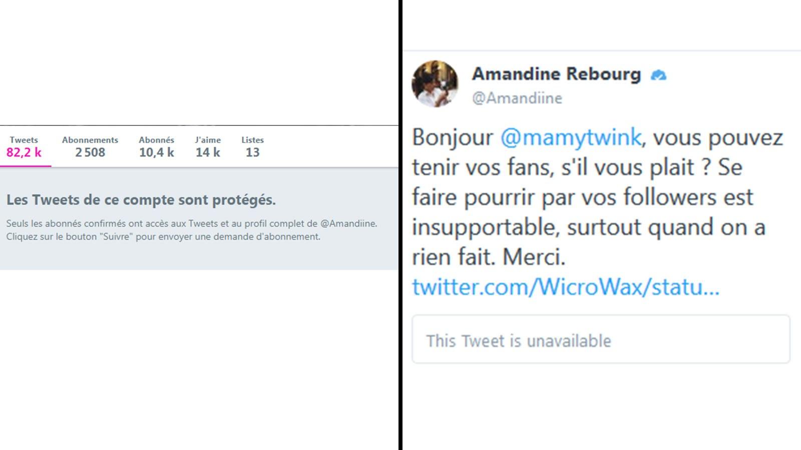 Amandine Rebourg / Twitter