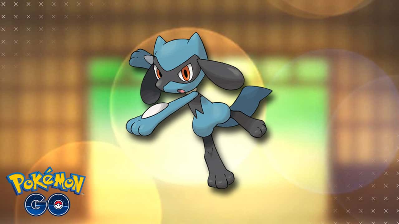 Riolu dans un dojo de Pokémon Go