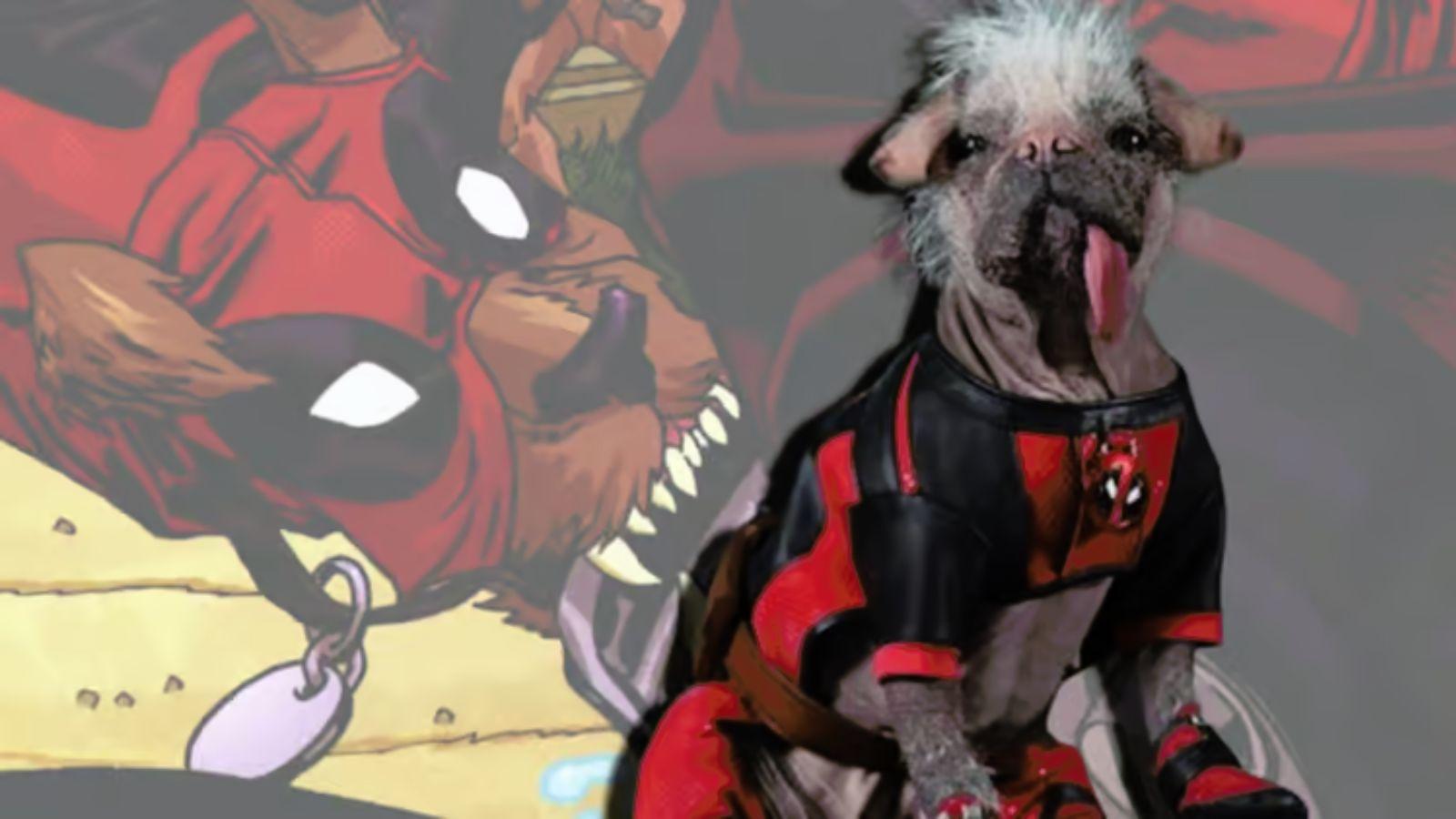 Dogpool dans Deadpool & Wolverine et dans les comics Marvel